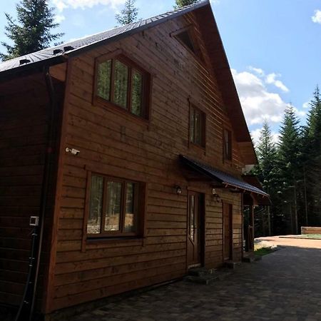 Ялинка Villa Migovo Exterior photo