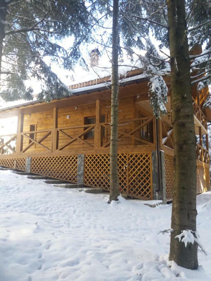 Ялинка Villa Migovo Exterior photo